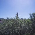 Webcam_20210614-101500