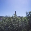 Webcam_20210614-103000