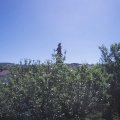 Webcam_20210614-104500