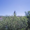 Webcam_20210614-113000