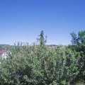 Webcam_20210614-150000