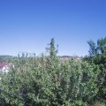 Webcam_20210614-154500