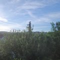 Webcam_20210615-051500