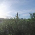 Webcam_20210615-054500