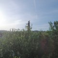 Webcam_20210615-061500