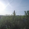 Webcam_20210615-064500