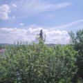 Webcam_20210615-111500