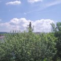 Webcam_20210615-113000