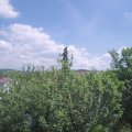 Webcam_20210615-130000