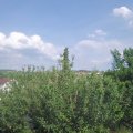 Webcam_20210615-163000