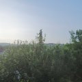 Webcam_20210616-054500