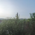 Webcam_20210616-061500
