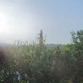 Webcam_20210616-063000