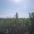 Webcam_20210616-093000