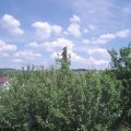 Webcam_20210616-143000