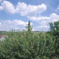 Webcam_20210616-153000