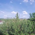 Webcam_20210616-164500