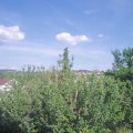 Webcam_20210616-170000