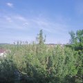 Webcam_20210616-173000