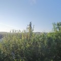 Webcam_20210617-050000