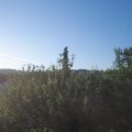Webcam_20210617-051500