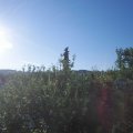 Webcam_20210617-061500