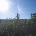 Webcam_20210617-071500
