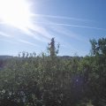 Webcam_20210617-073000