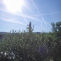 Webcam_20210617-080000