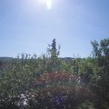 Webcam_20210617-090000