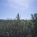 Webcam_20210617-094500