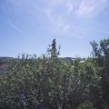 Webcam_20210617-100000