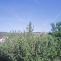 Webcam_20210617-170000