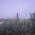 Webcam_20210617-210000