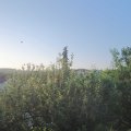 Webcam_20210618-050000