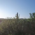 Webcam_20210618-053000