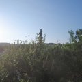 Webcam_20210618-054500