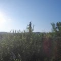 Webcam_20210618-061500