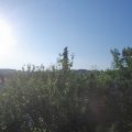 Webcam_20210618-063000