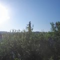 Webcam_20210618-064500