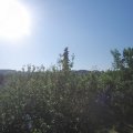 Webcam_20210618-071500