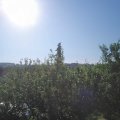 Webcam_20210618-074500