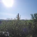 Webcam_20210618-080000
