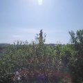 Webcam_20210618-091500