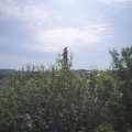 Webcam_20210618-094500