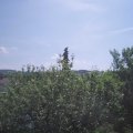 Webcam_20210618-104500