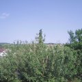 Webcam_20210618-163000