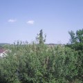 Webcam_20210618-164500