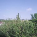 Webcam_20210618-170000
