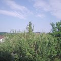 Webcam_20210618-171500